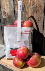 Marshall McIntosh, a local apple at Woodstock Farmers' Market.