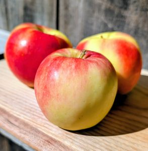 Sansa, a local apple at Woodstock Farmers' Market.