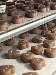 Farmhouse Chocolates cooling on trays. Chocolates at Woodstock Farmers' Market.