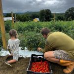 Edgewater Farm, a local grower with produce available at Woodstock Farmers' Market.