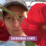 Sherburne Farm flowers available at Woodstock Farmers' Market.